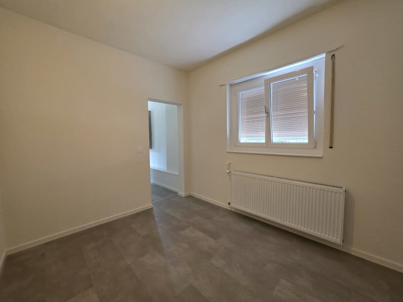2 Stanza Monolocale, 5200 Brugg (4)