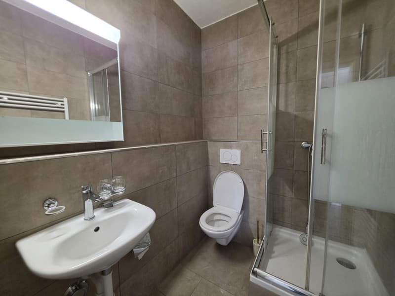 2 Stanza Monolocale, 5200 Brugg (6)
