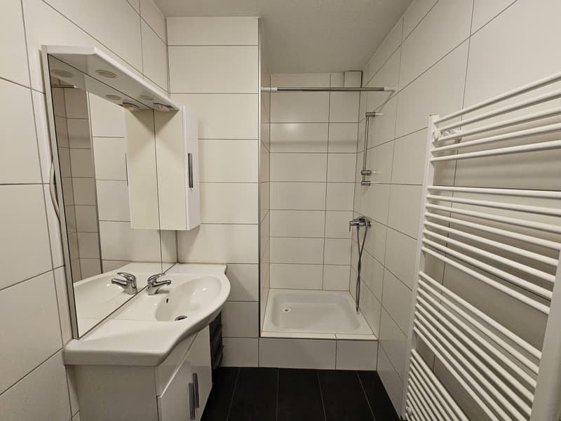 3 ½ locali appartamento, 2540 Grenchen (8)
