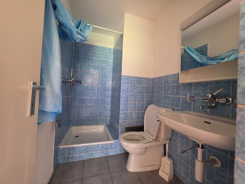 1 Zimmer-Wohnung, 8580 Amriswil (5)