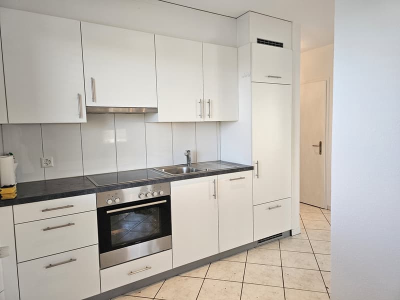 Charming 2.5-room attic apartment with large terrace (2)