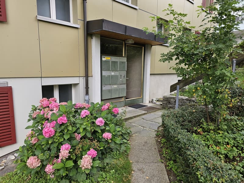 3 Bedroom Apartment, 9100 Herisau (10)