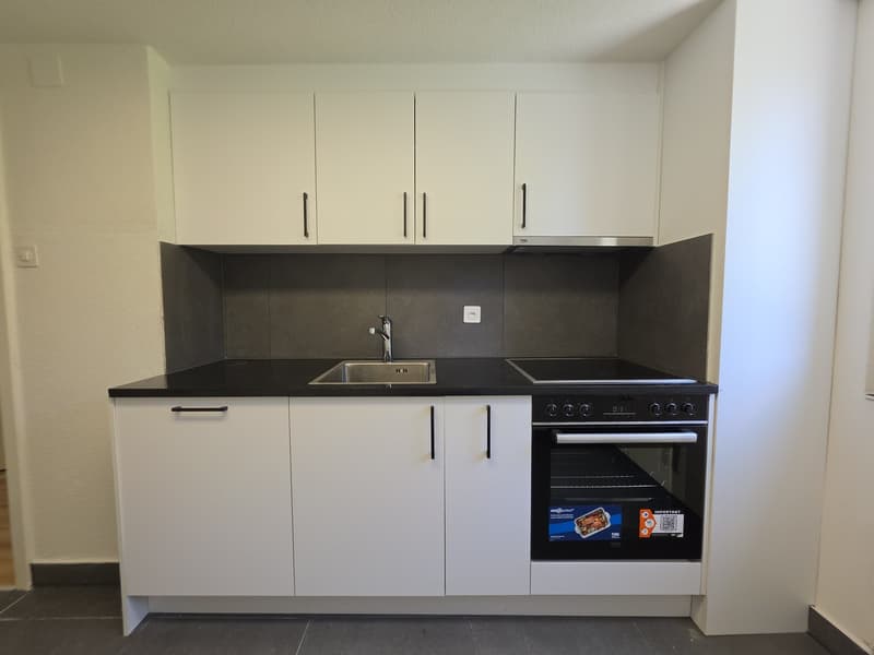 3 Bedroom Apartment, 9100 Herisau (3)
