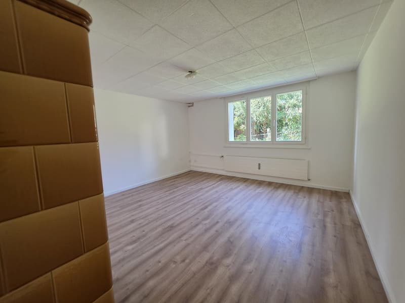 3 Bedroom Apartment, 9100 Herisau (7)