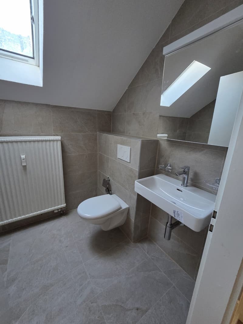 1 Zimmer-Attikawohnung, 4436 Oberdorf (6)