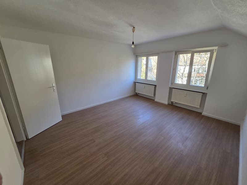 1 Zimmer-Attikawohnung, 4436 Oberdorf (1)