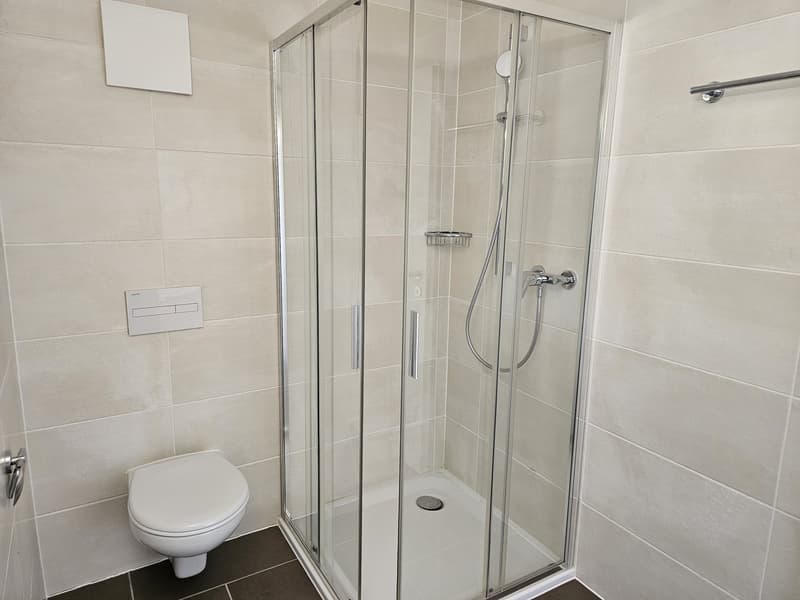 Appartamento di 2 ½ locali, 2300 La Chaux de Fonds (5)