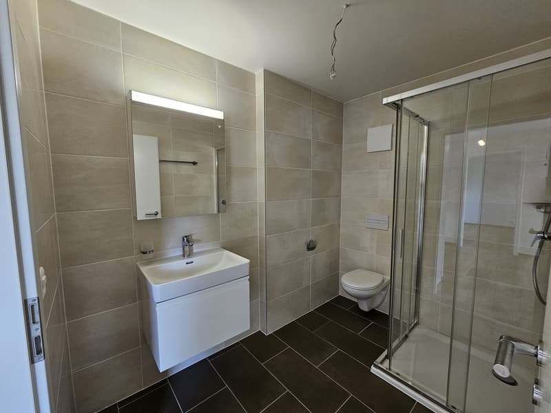 Appartamento di 2 ½ locali, 2300 La Chaux de Fonds (5)