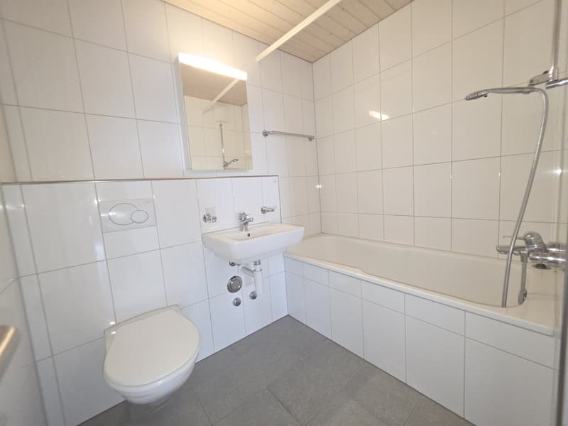 2 ½ pièces appartement, 4900 Langenthal (7)