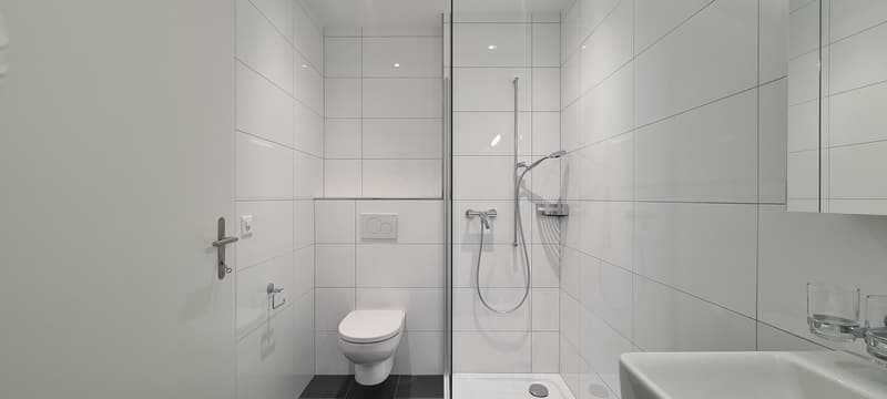 2 ½ Zimmer-Wohnung, 3052 Zollikofen (3)