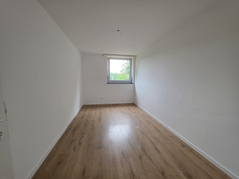 4 ½ Zimmer-Wohnung, 8200 Schaffhausen (5)