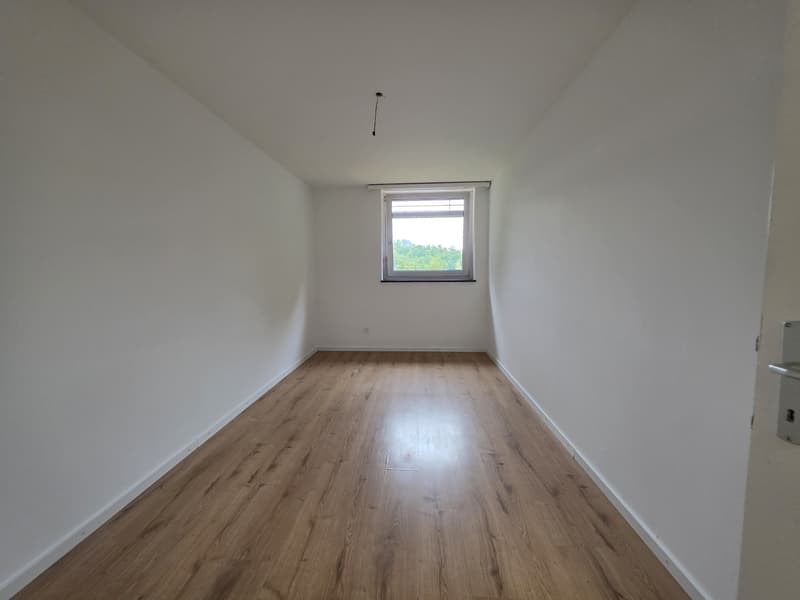 4 ½ Zimmer-Wohnung, 8200 Schaffhausen (4)