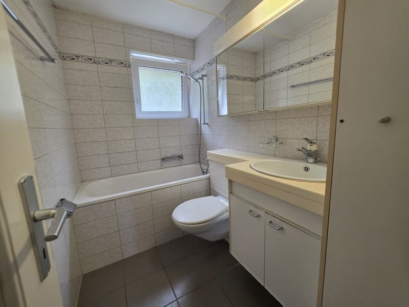 4 ½ Zimmer-Wohnung, 8200 Schaffhausen (9)