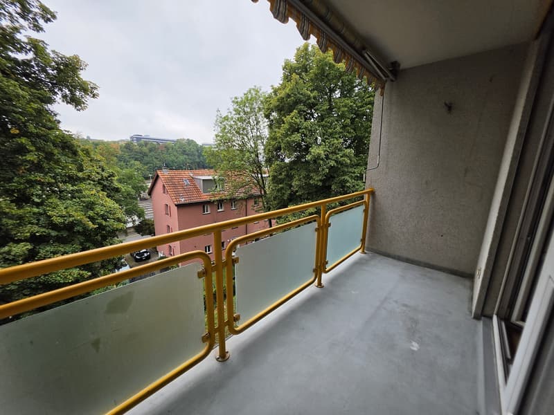 4 ½ Zimmer-Wohnung, 8200 Schaffhausen (8)
