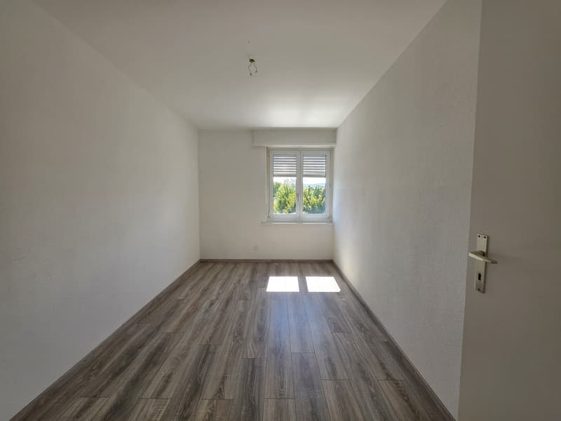 3 Zimmer-Wohnung, 5314 Kleindöttingen (5)