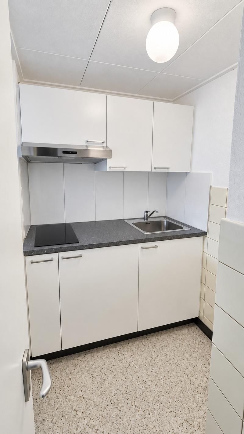 Angheneme 1.5 Zimmer Wohnung (2)