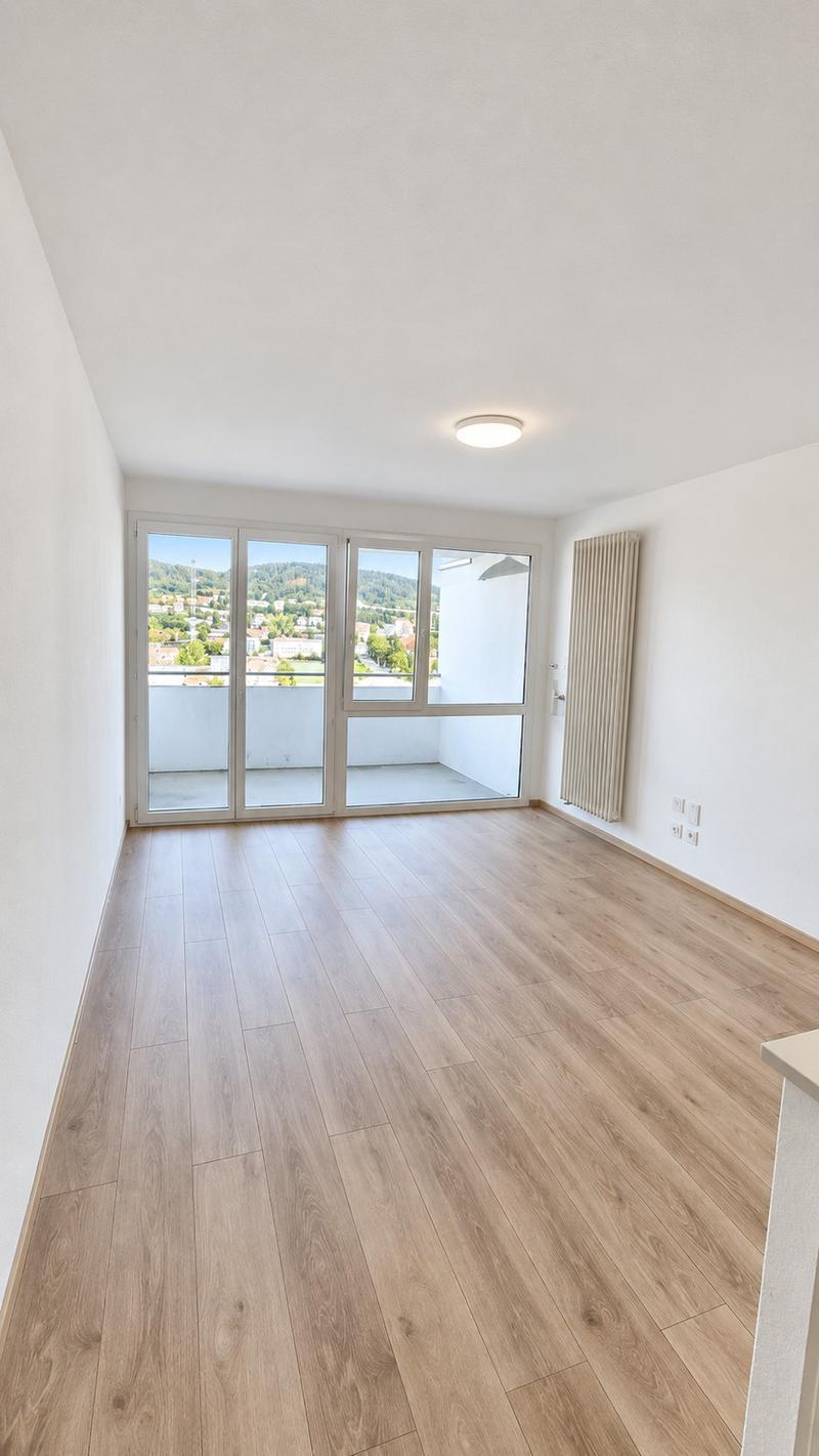 Angheneme 1.5 Zimmer Wohnung (3)
