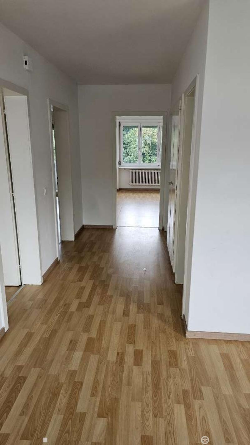 Angheneme 3.5 Zimmer Wohnung (6)