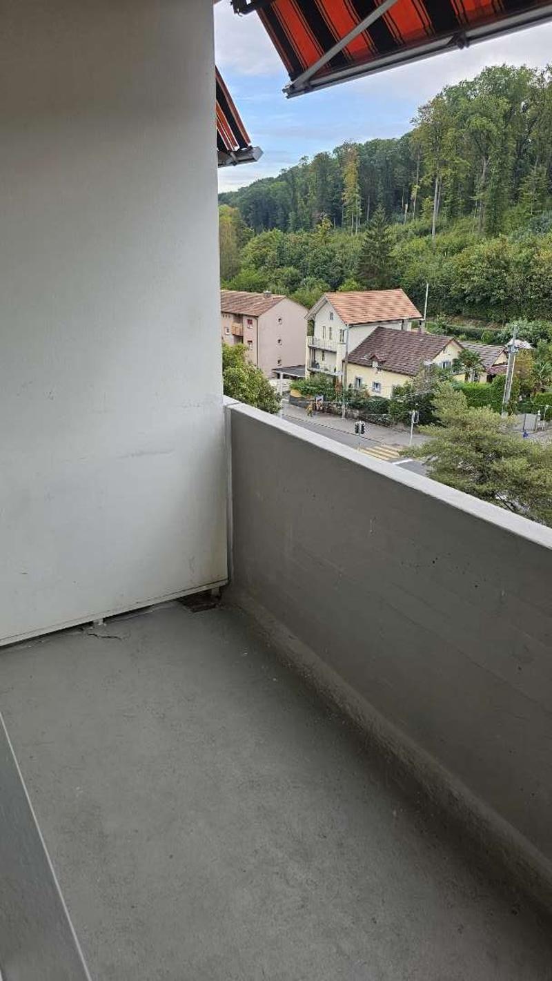 Angheneme 3.5 Zimmer Wohnung (9)