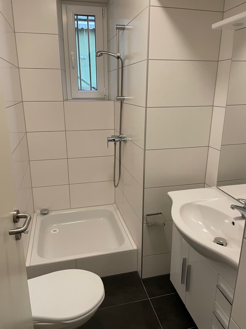 2 ½ Zimmer-Wohnung, 2540 Grenchen (5)