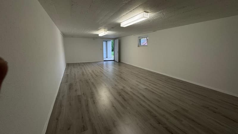 40m² Hobbyraum, 8200 Schaffhausen (3)