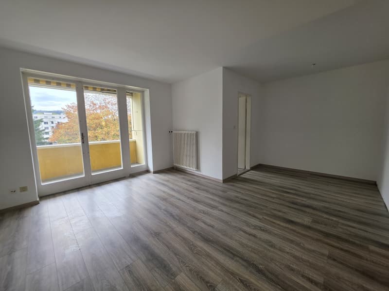 3 ½ Zimmer-Wohnung, 4600 Olten (2)