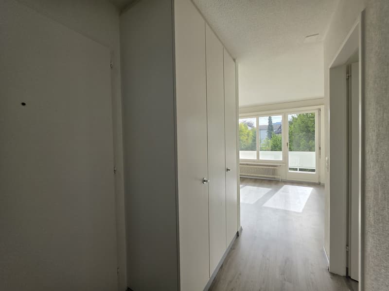 4 ½ Zimmer-Wohnung, 4500 Solothurm (10)