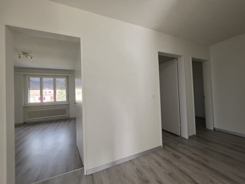 4 ½ Zimmer-Wohnung, 4500 Solothurm (7)