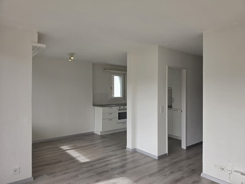 4 ½ Zimmer-Wohnung, 4500 Solothurm (4)