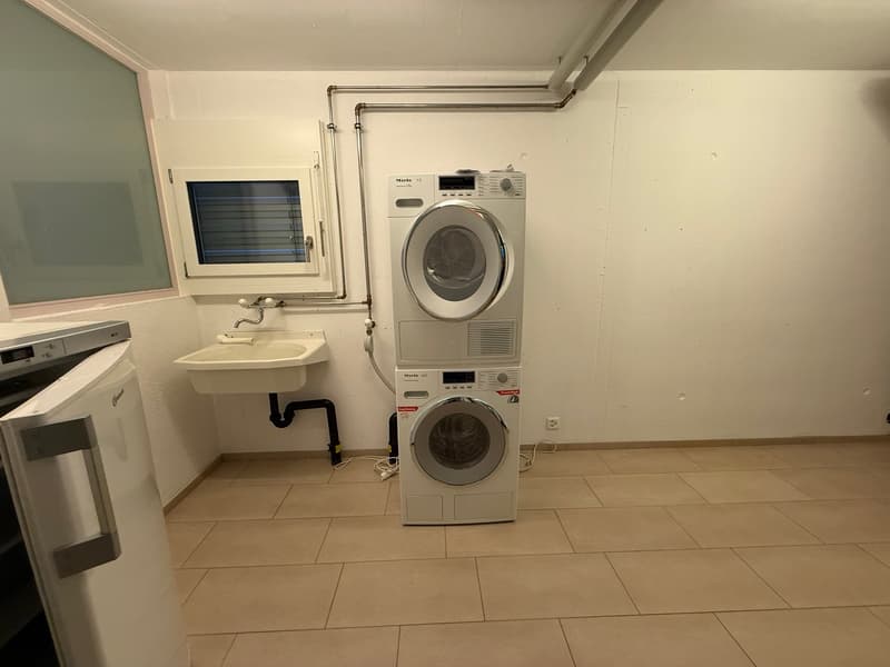 Ampio spazio di vita, casa moderna con giardino a Wollerau (20)