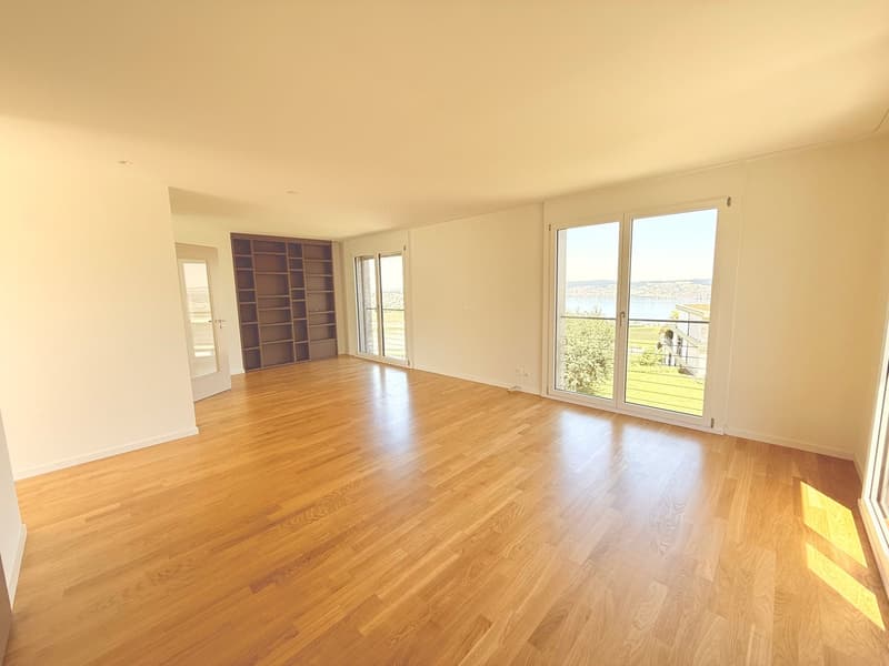 Ampio spazio di vita, casa moderna con giardino a Wollerau (16)