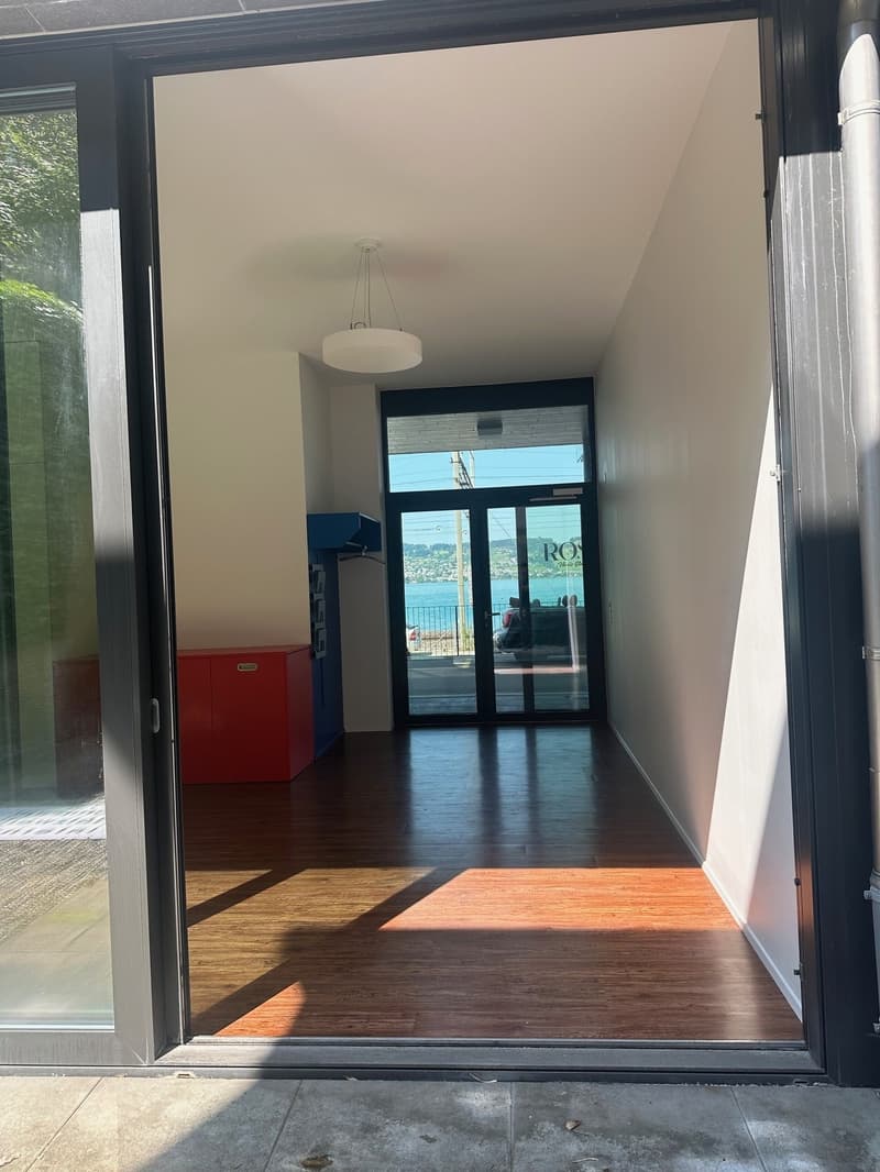 Modern office-studio with lake view and close to the train station (5)