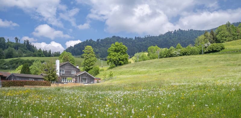 Exklusives Landhausidyll mit 3’874 m² Land, grossem Naturteich und Alpenblick (4)