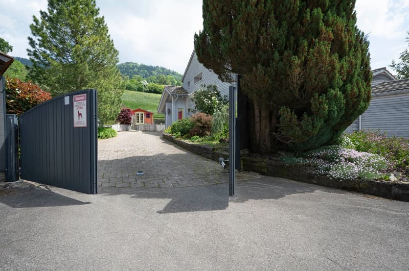 Exklusives Landhausidyll mit 3’874 m² Land, grossem Naturteich und Alpenblick (6)