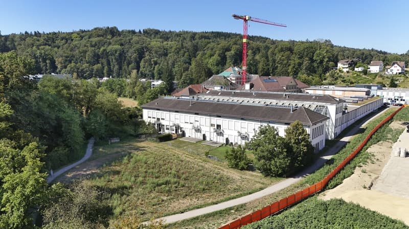 Exklusiver Loft-Traum im Walzmühle-Areal: 3.1 m Raumhöhe, Luxus-Küche & 130 m² Privatgarten (21)