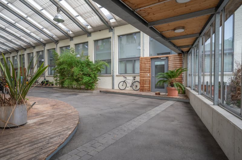 Exklusiver Loft-Traum im Walzmühle-Areal: 3.1 m Raumhöhe, Luxus-Küche & 130 m² Privatgarten (18)
