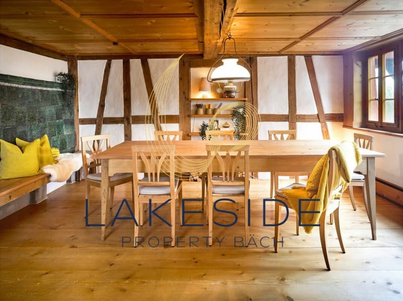 Sehr schöne 7 1/2 Zi-Wohnung im Riegelhaus zur Miete (3)