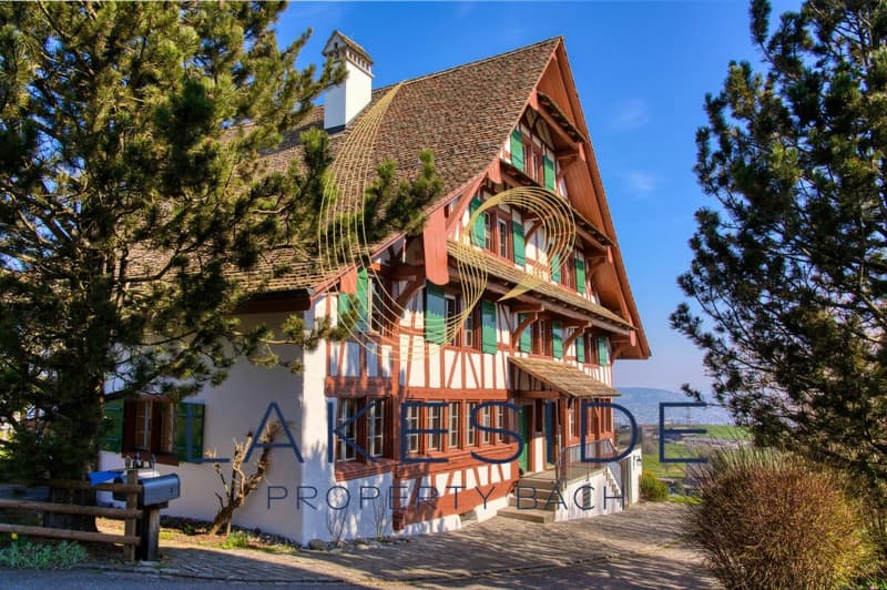 Sehr schöne 7 1/2 Zi-Wohnung im Riegelhaus zur Miete (1)