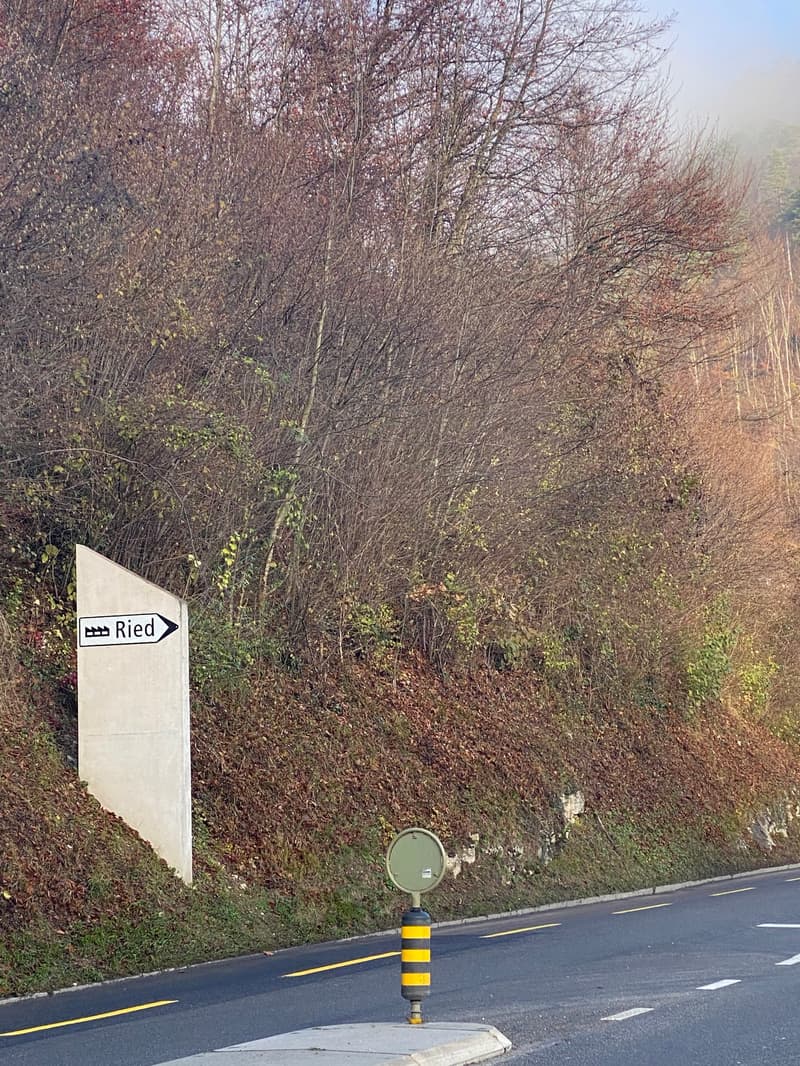 Concrete sign on the left, pointing to the left to Ried, surrounded by dried trees, road in the foreground