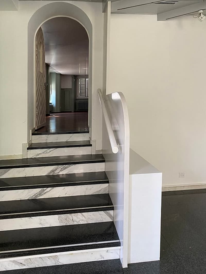 2 1/2 Zimmer Wohnung 108 m2 mit grosser Terrasse (5)