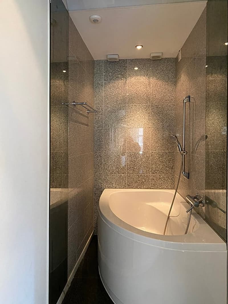 2 1/2 Zimmer Wohnung 108 m2 mit grosser Terrasse (6)