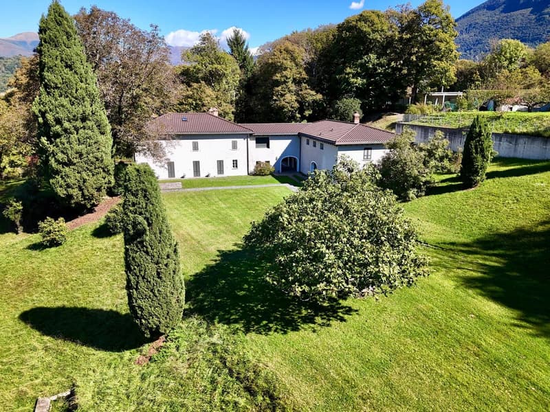 Villa on hillside, red roof, green lawn, large windows, bushes, surrounded by trees