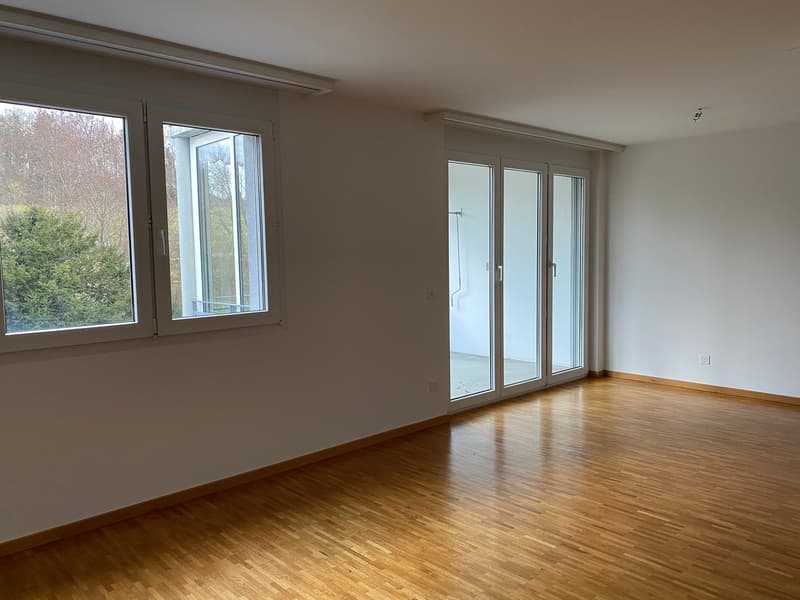empty room, hardwood floors, large windows, sliding doors, white walls, outlet