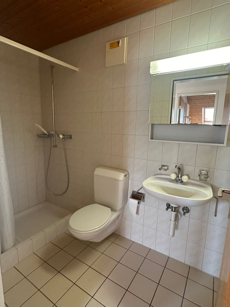 Helle, frisch renovierte 3.5-Zimmer-Wohnung an ruhiger Lage in Zwingen (10)