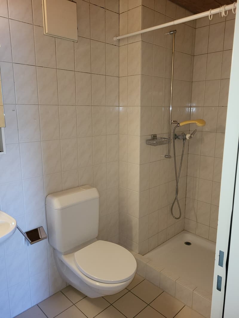 Bright 3.5-room apartment in a quiet location in Zwingen (5)