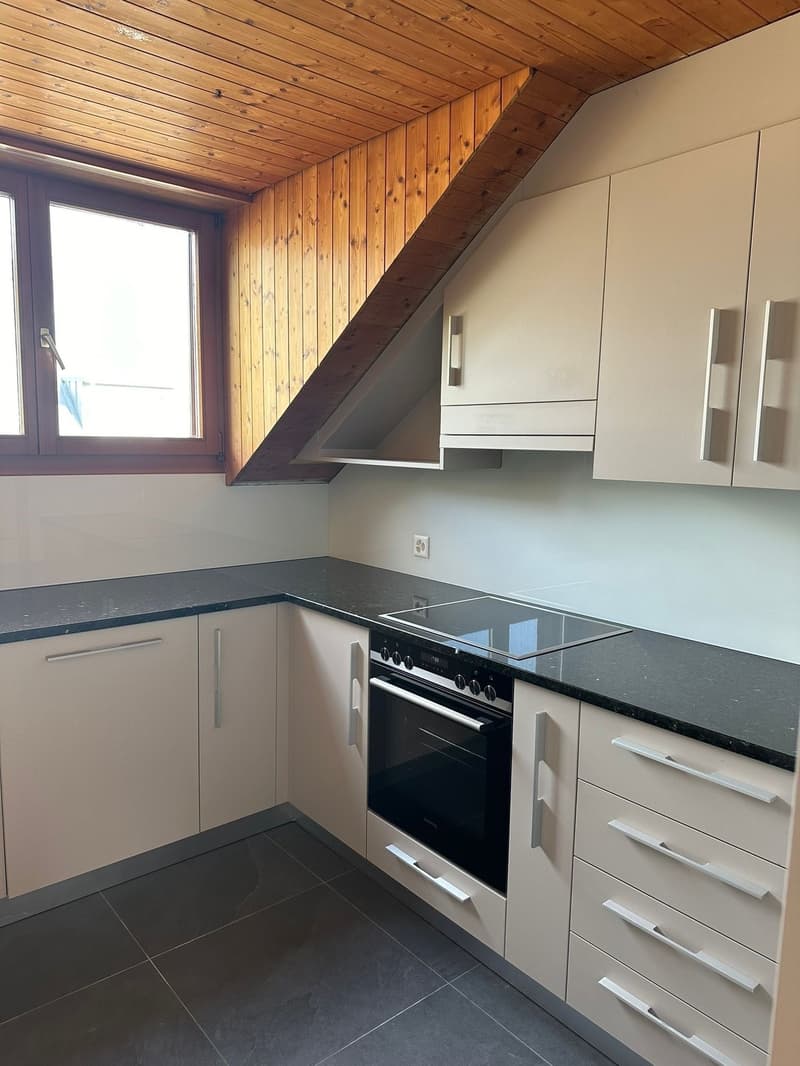 Helle, frisch renovierte 3.5-Zimmer-Wohnung an ruhiger Lage in Zwingen (3)