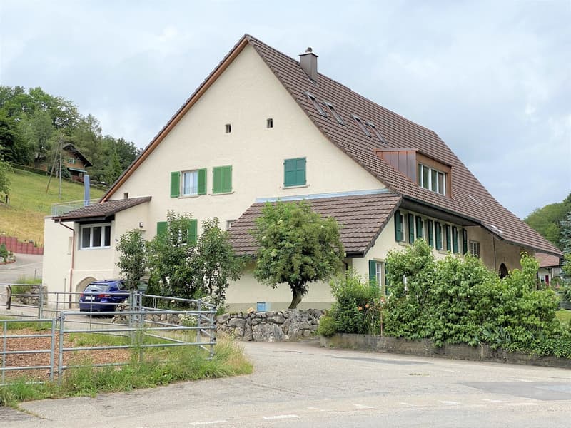 Bello appartamento in un edificio storico a Nunningen (1)