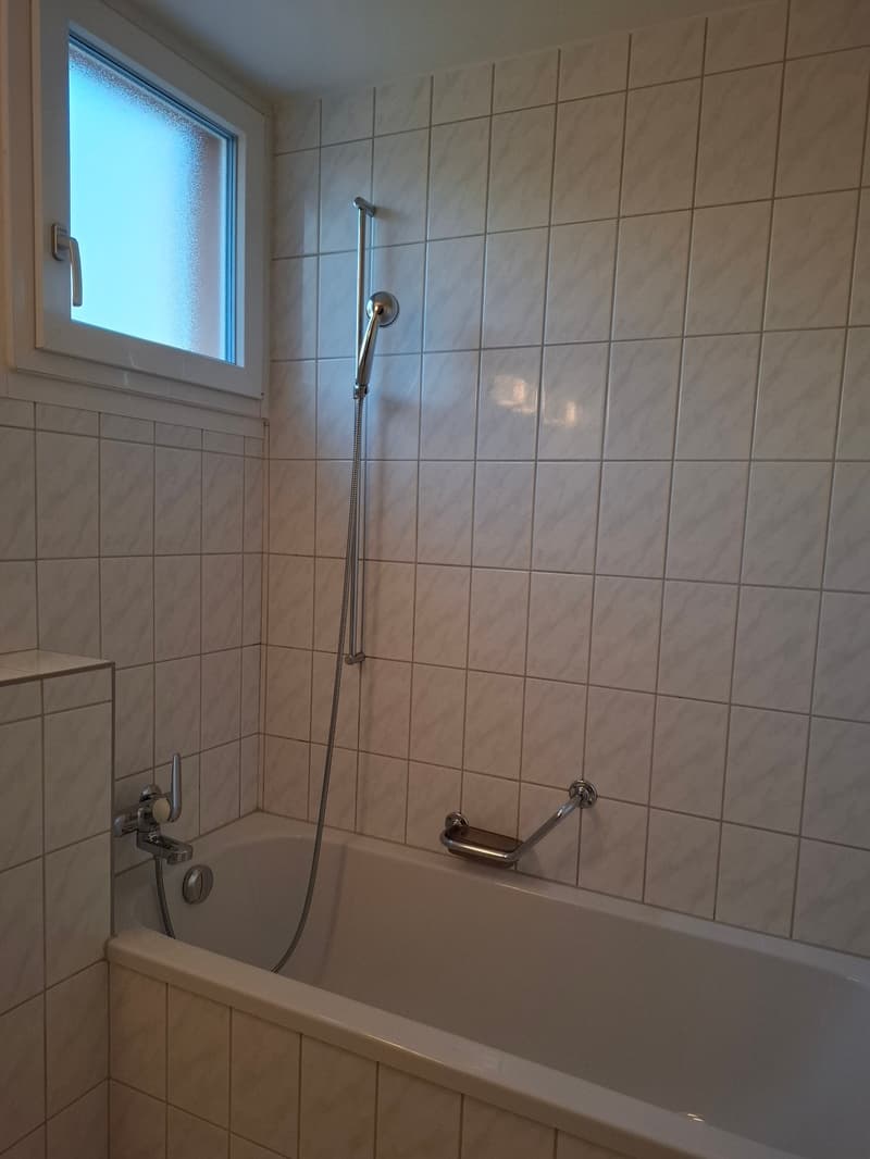 Gemütliche Erdgeschosswohnung in Laufen (9)