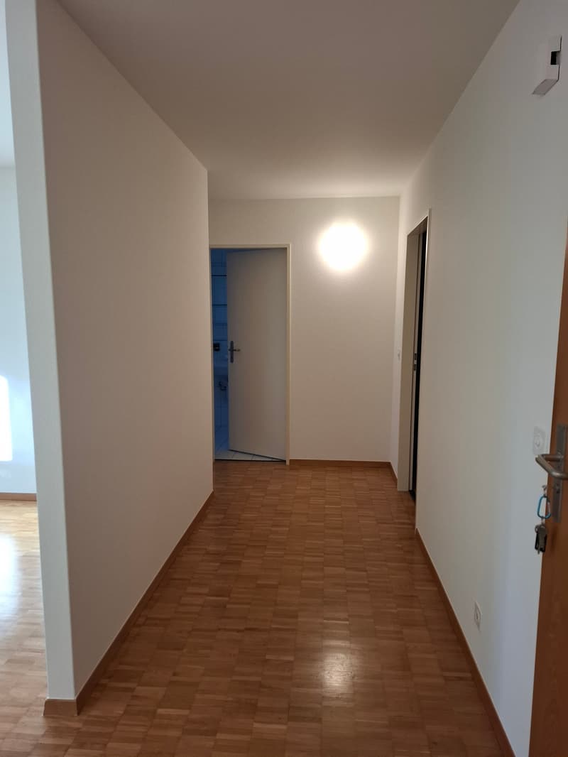 Gemütliche Erdgeschosswohnung in Laufen (5)