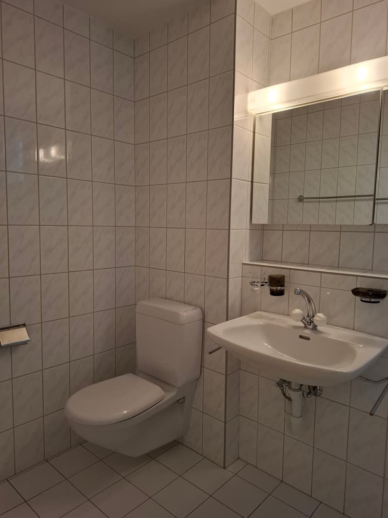 Gemütliche Erdgeschosswohnung in Laufen (8)